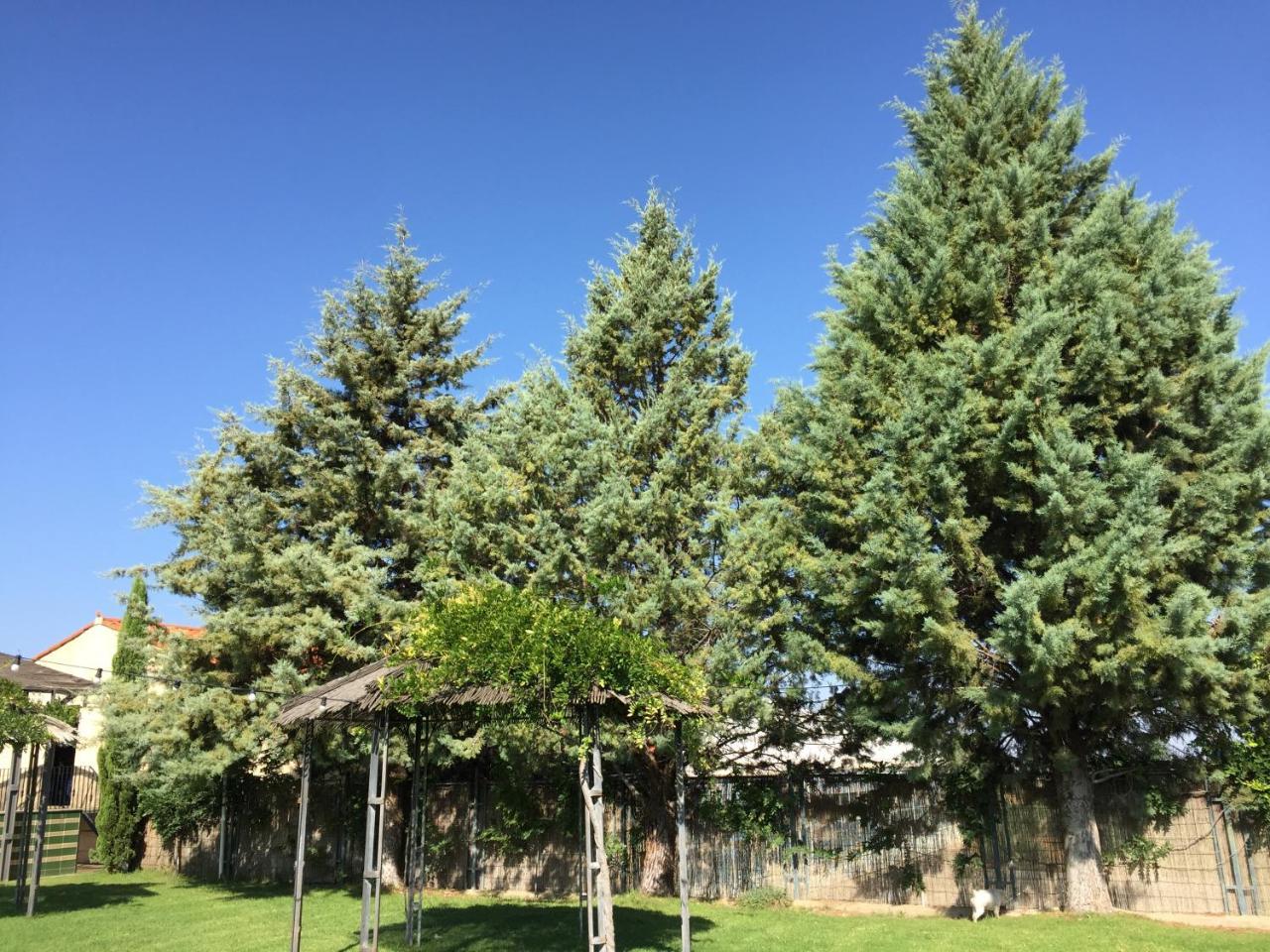 Apartamentos Atalayas Extremadura Zafra Bagian luar foto